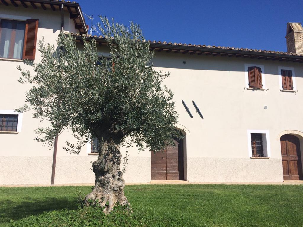 Podere Le Volte Degli Angeli Spello Bagian luar foto