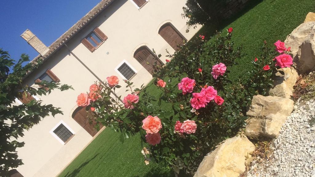 Podere Le Volte Degli Angeli Spello Bagian luar foto