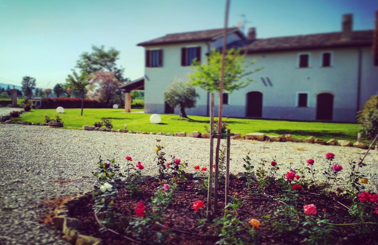 Podere Le Volte Degli Angeli Spello Bagian luar foto