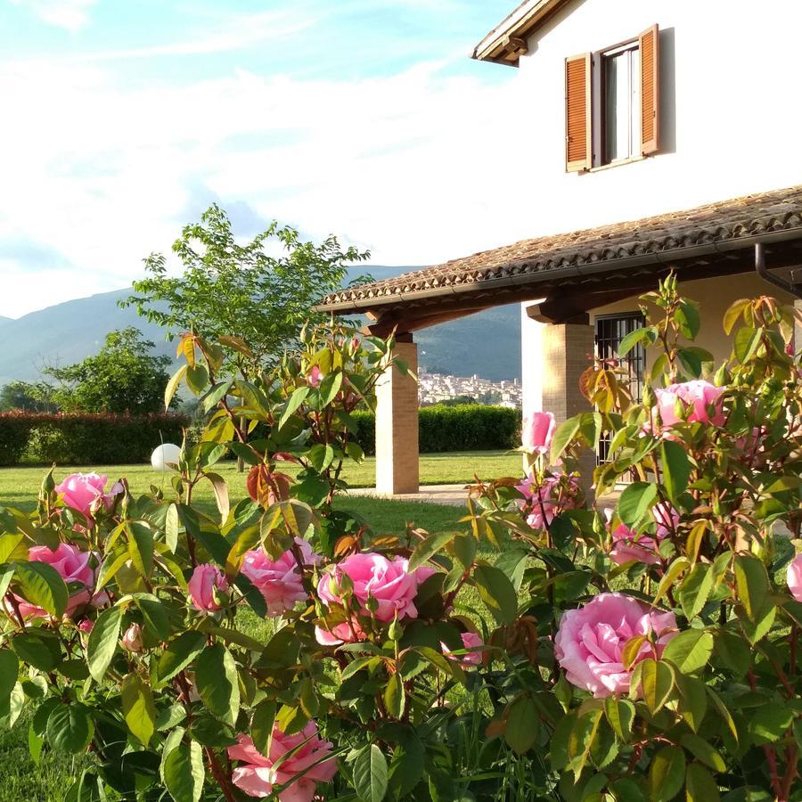 Podere Le Volte Degli Angeli Spello Bagian luar foto